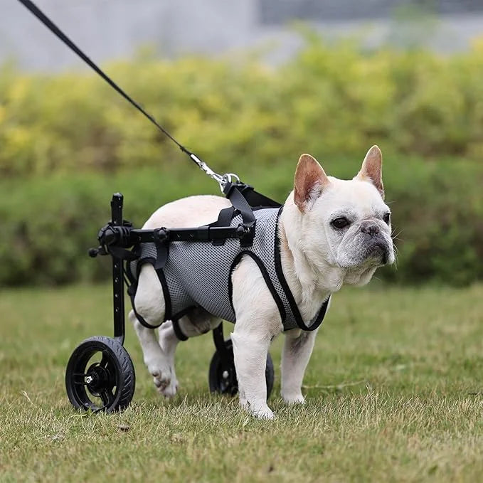 Small Dog Wheelchair for Back Legs, Light Weight Dog&Cat&Pets Wheelchair Cart with Disabled Hind Legs Walking, Adjustable ...