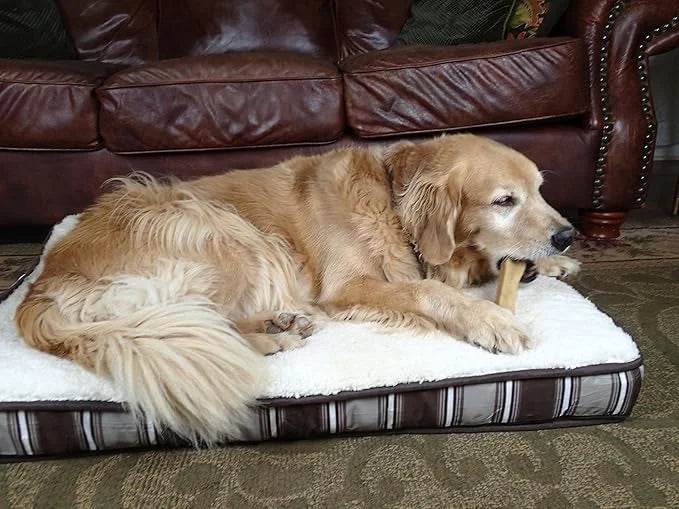 Yak Snak Dog Chews - All Natural Hard Cheese Himalayan Dog Treats - Long Lasting Dog Chews, Made from Yak Milk, Small, Med...