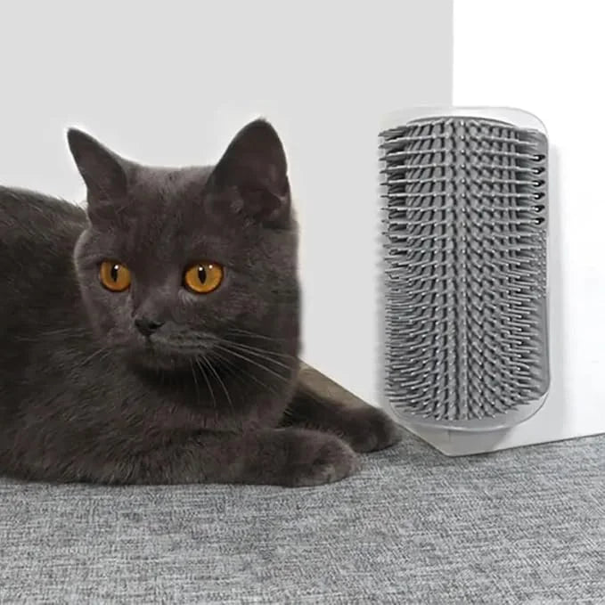 1Pcs Pet comb and Wall Corner Massage comb,for Dogs & Cats with Long & Short Stainless Steel Metal Teeth for Shedding and ...