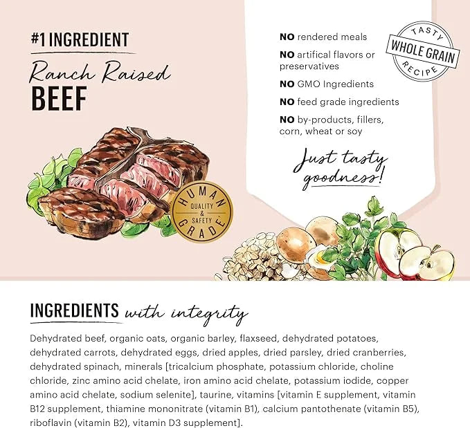 The Honest Kitchen Dehydrated Whole Grain Beef Dog Food, 10 lb Box - Product Image