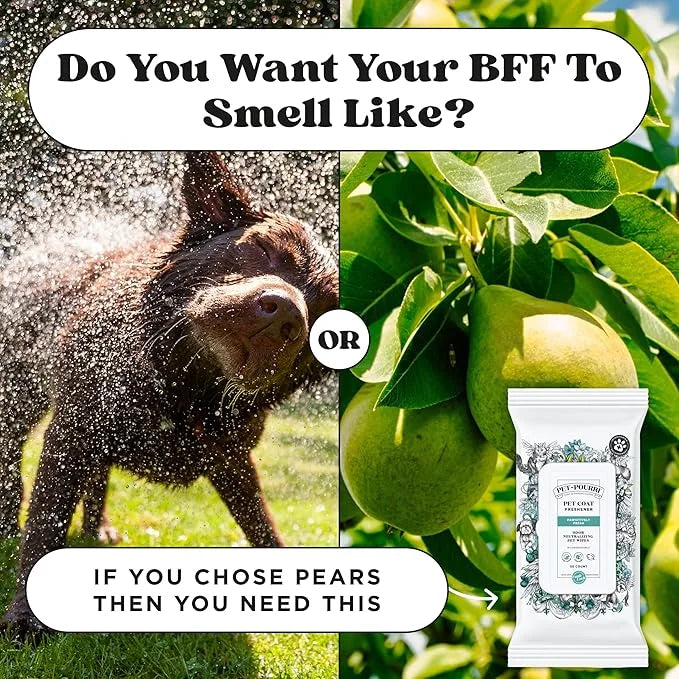 Pet-Pourri Pawsitively Fresh Deodorizing Pet Wipes – Quick Cleaning Wipes for Dogs & Cats – Plant Based Ingredients – Vet ...