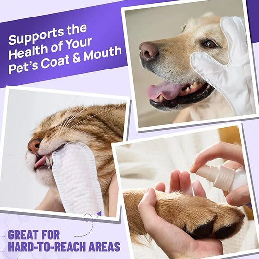 HICC PET Dogs Essential Clean & Care Kit - Pets Hot Spot Treatment & Itch Relief Spray + Cleaning Deodorizing Teeth and Bo...
