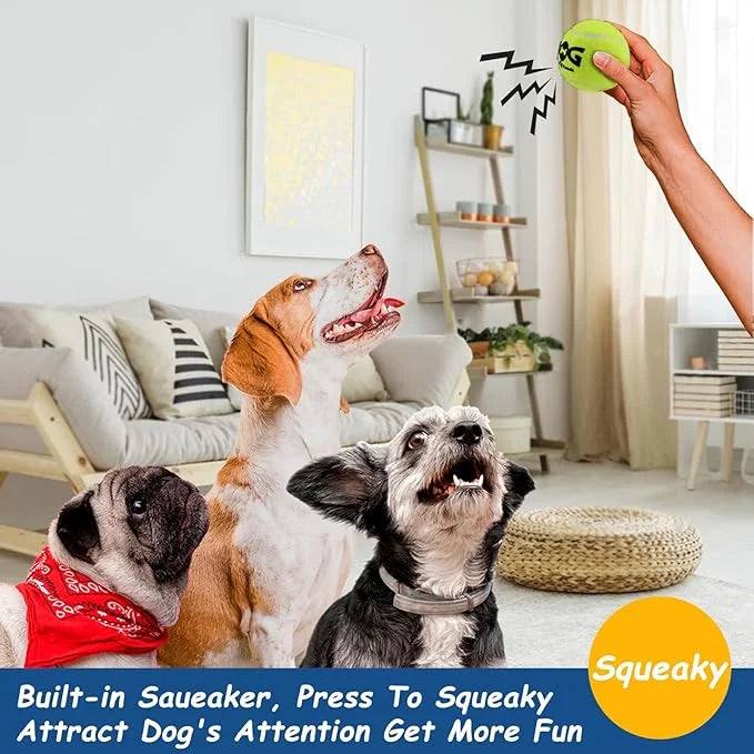 Squeaky Tennis Balls for Dogs Colorful Easy Catching Pet Toy Balls 12 Pack (2.5inch-6colors) - Product Image