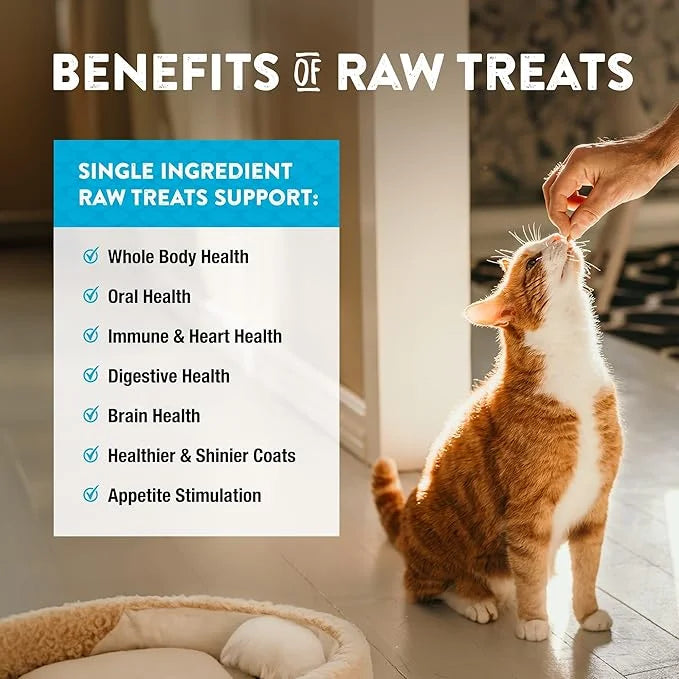 Northwest Naturals Raw Rewards Freeze-Dried Minnow Treats for Dogs and Cats - Bite-Sized Pieces - Healthy, 1 Ingredient, H...