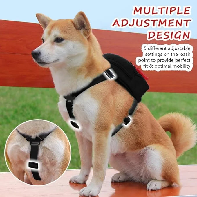 Dog Backpack for Small Dogs to Wear,Cute Pet Puppy Harness Backpacks with Leash Adjustable Dog Self Carrier Bag for Travel...