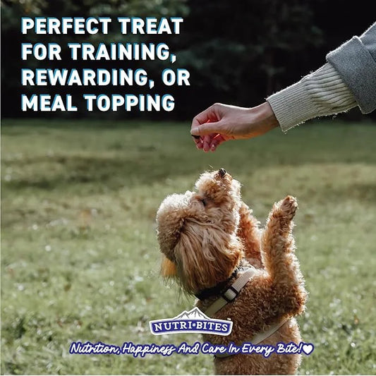 Nutri Bites Freeze Dried Chicken Dog & Cat Treats, 4 oz | Healthy Pet Training Treats or Food Topper | All Natural, 1 Sing...