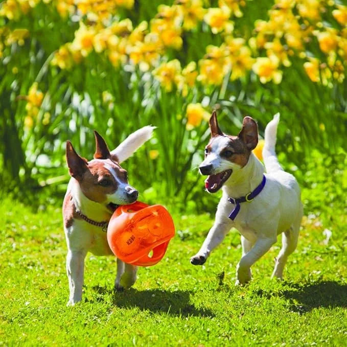 KONG Jumbler Ball - Interactive Dog Toy for Dog & Puppy Playtime - Fetch Toy with Tennis Ball - Dog Supplies for Engaging ...
