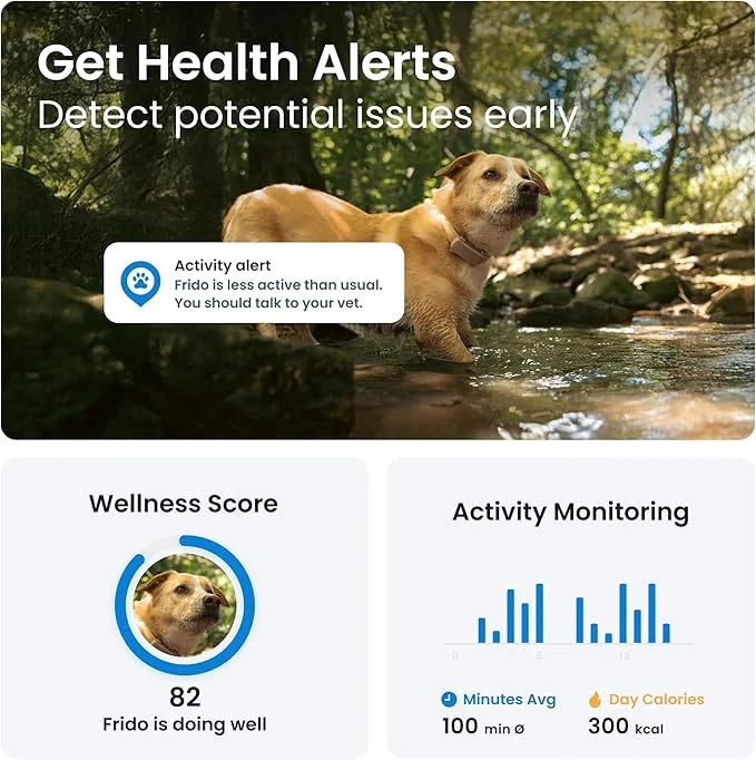 Tractive GPS Dog Tracker (2025 Release with Free 6 Month Subscription) | Real-time Pet Location Tracker | Health & Wellnes...