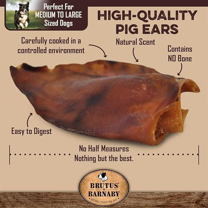 100% Natural Whole Pig Ear Dog Treat - 12 Pack Our Healthy Pig Ears Are Easy To Digest, Chemical & Hormone Free Thick Cut ...