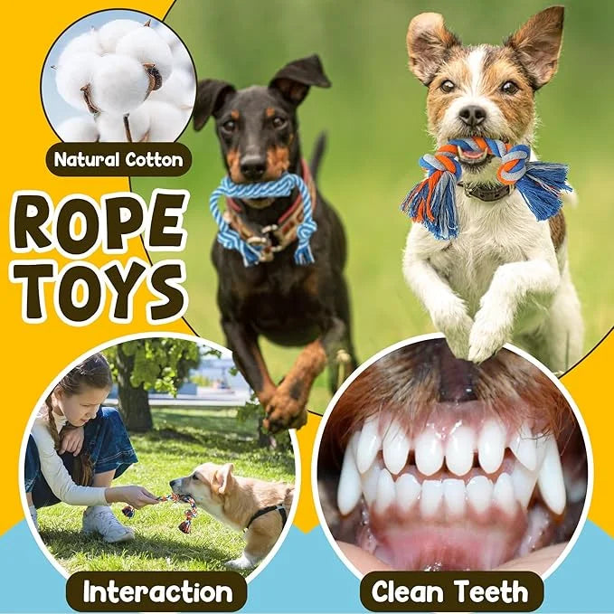 Zeaxuie 9 Pack Luxury Puppy Toys for Teething Small Dogs, Puppy Chew Toys with Cute Squeaky Dog Toys, Ball and More Rope D...