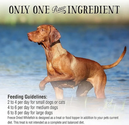 Northwest Naturals Raw Rewards Freeze-Dried Whitefish Treats for Dogs and Cats - Bite-Sized Pieces - Healthy, 1 Ingredient...