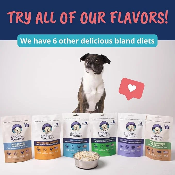 Under the Weather Bland Diet for Dogs | Easy to Digest Stomach Support for Sick Dogs | Contains Electrolytes, All Natural ...