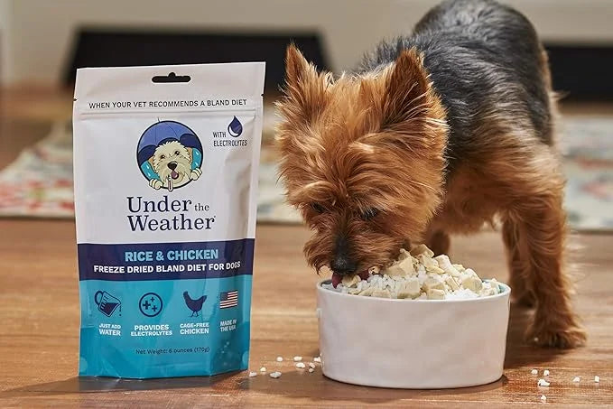 Under the Weather Bland Diet for Dogs | Easy to Digest for Sick Dogs | Always Be Ready | Contains Electrolytes - All Natur...