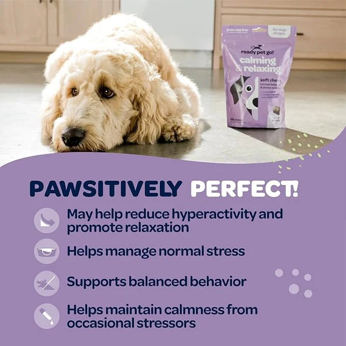 Hemp Calming Chews for Dogs | Herbal Dog Calming Chews for Anxiety from Normal and Occasional Stressors Including Separati...