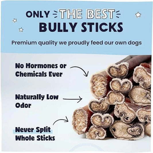 Pawstruck All-Natural 7" Bully Sticks for Dogs - Best Long Lasting, Rawhide Free, Low Odor & Grain Free Dental Chew Treat ...
