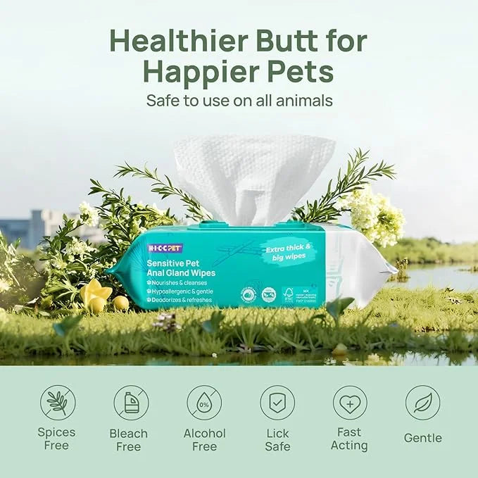 HICC PET Wipes for Dogs & Cats, Cleansing Deodorizing & Soothing Allergy Infections Anal Gland Pets Wipes with Coconut Oil...