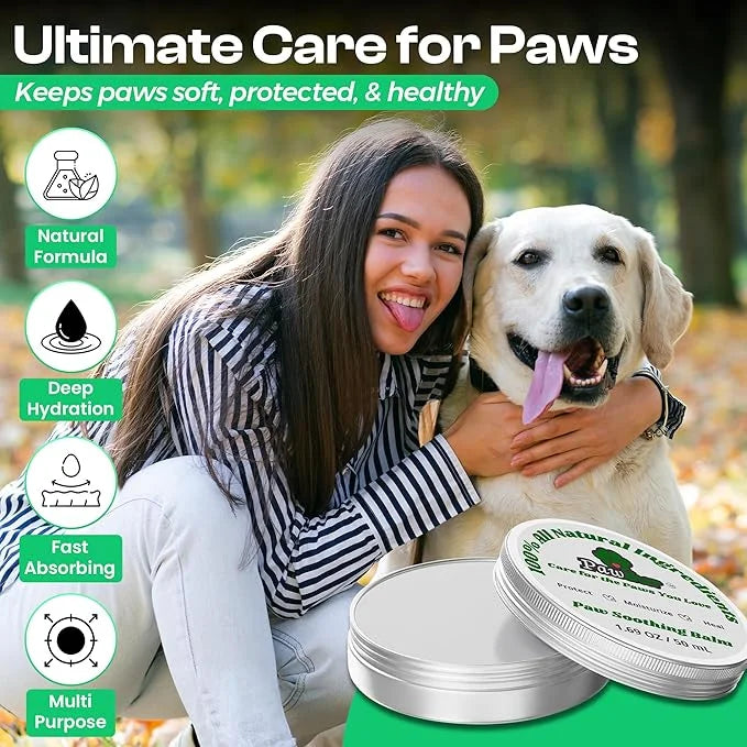 Ultimate Dog Wellness Pack: Fur Spray, Dental Care (Spray & Wipes), Paw Balm and Dog Wet Wipes - Product Image