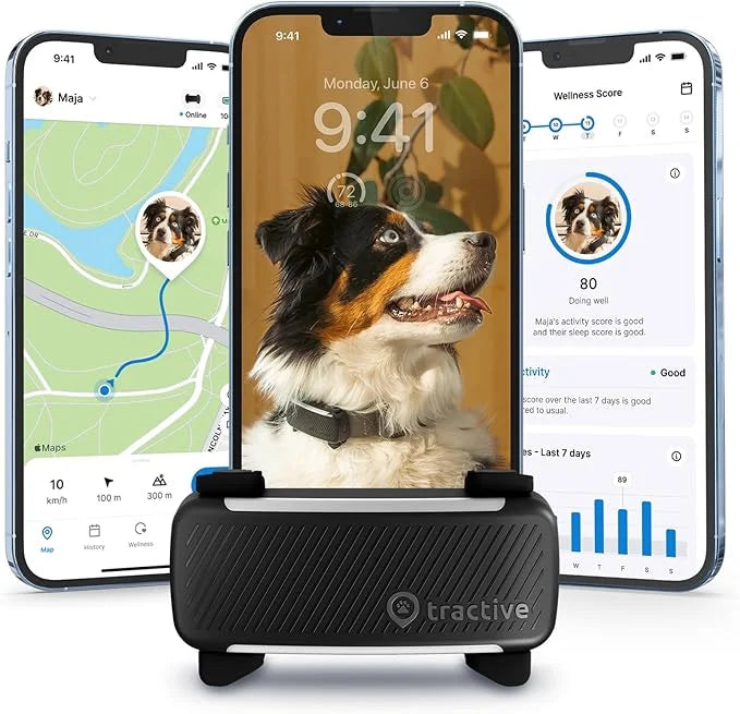 Tractive GPS Dog Tracker (2025 Release) | Real-time Pet Location Tracker | Health & Wellness Alerts | Virtual Fence for Do...