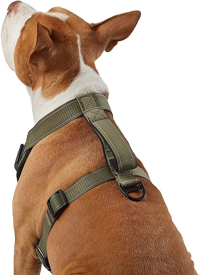 KONG Max Ultra Durable Neoprene Padded Chest Plate Dog Harness Offered by The Barker Company (Green, XL) - Product Image