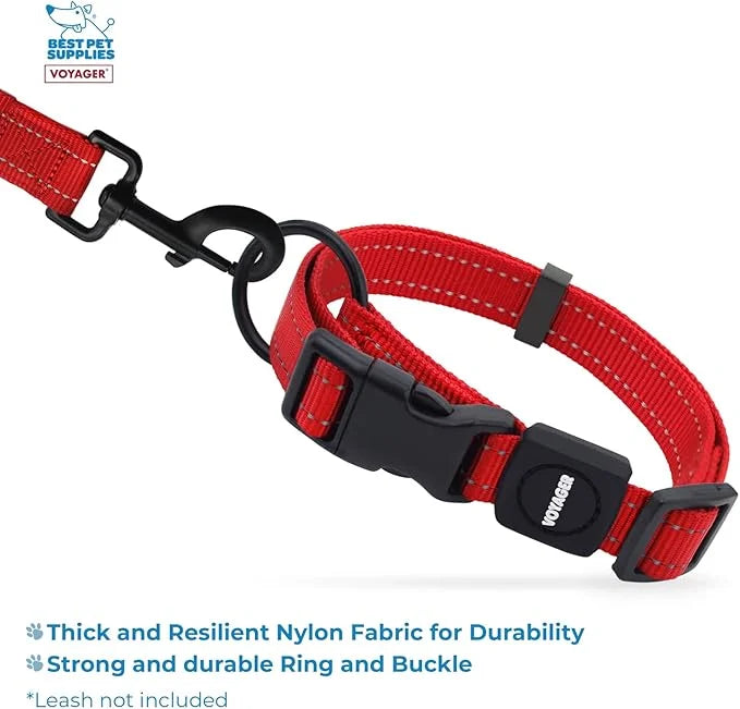 Best Pet Supplies Reflective Dog Collar with Adjustable Length, Heavy-Duty Buckle, and Strong Leash D-Ring, Training, Walk...