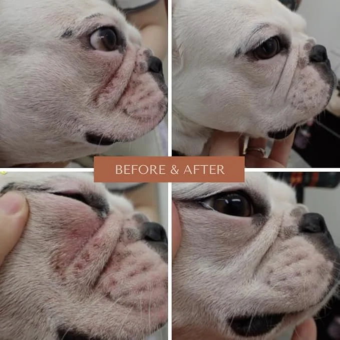 Wrinkle Wipes for Dogs | Bulldog, French Bulldog, Pug, English Bulldog | Cleans & Soothes Wrinkles, Folds, Tear Stain, Tai...