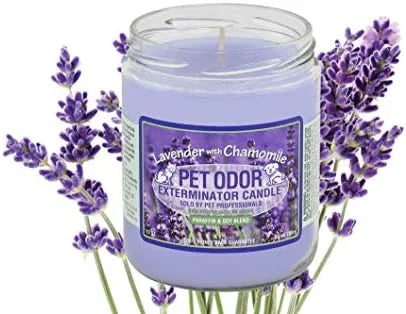 0 Pet Odor Exterminator Candle Lavender with Chamomile - Product Image