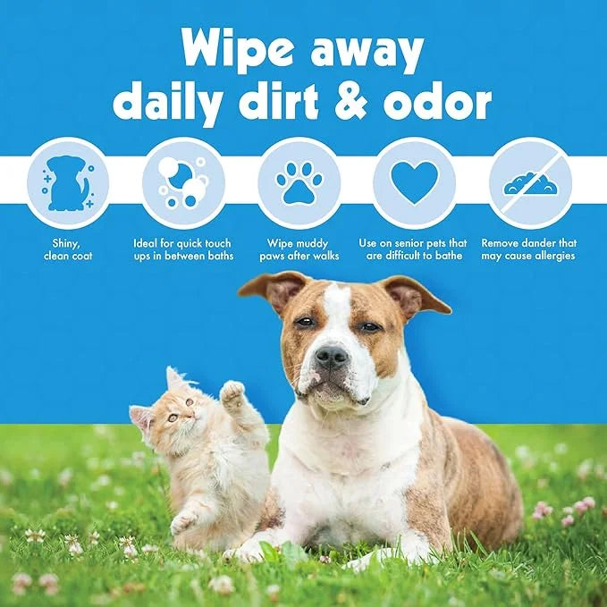 Petkin Mega PetWipes, 200 Wipes - Pet Wipes for Dogs and Cats - For Face, Paws, Ears, Body and Eye Area - Super Convenient...
