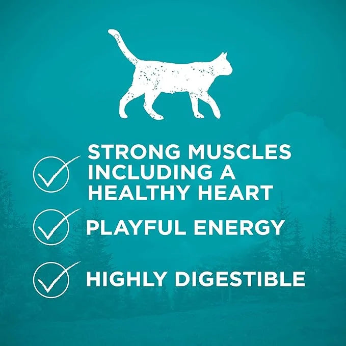 Purina ONE Natural, High Protein, Grain Free Dry Cat Food, True Instinct With Real Chicken - 3.2 lb. Bag - Product Image