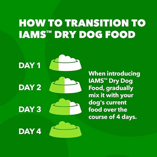 IAMS Minichunks Adult Dry Dog Food Lamb & Rice Recipe Dog Kibble, 15 lb. Bag - Product Image