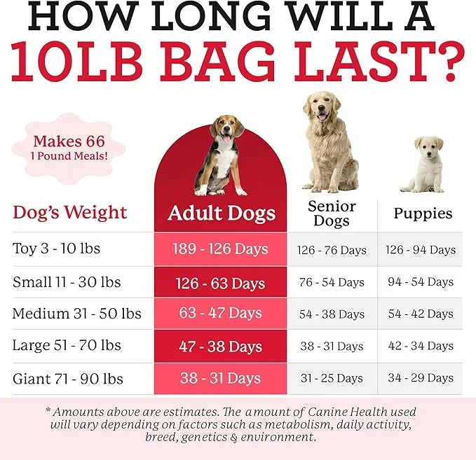 Dr. Harvey's Canine Health Miracle Dog Food, Human Grade Dehydrated Base Mix for Dogs with Organic Whole Grains and Vegeta...