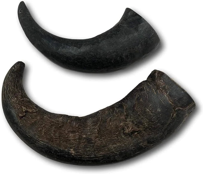 Top Dog Chews – Water Buffalo Horn, Long Lasting Dog Chew for Aggressive Chewers, All Natural, Dog Bone for Large & Medium...