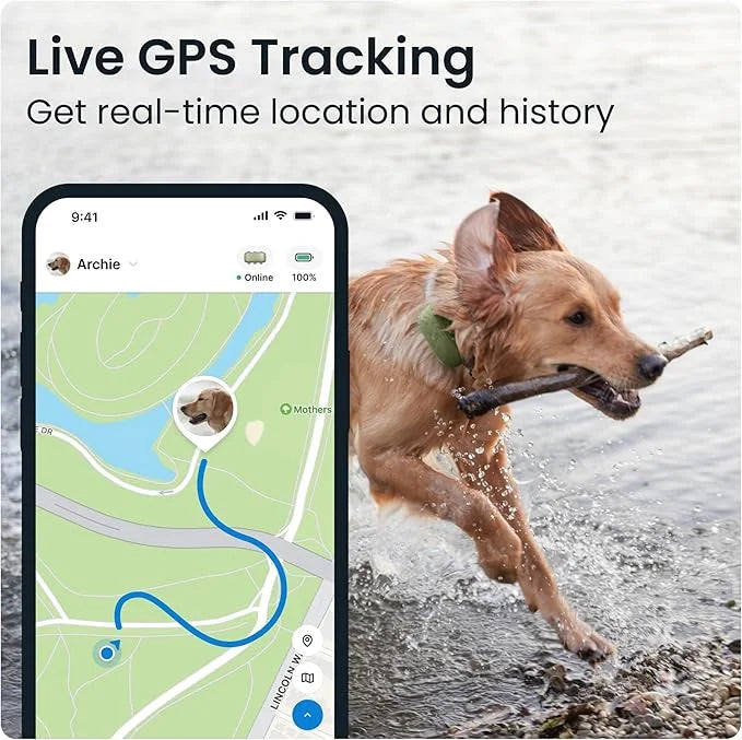 Tractive XL GPS Dog Tracker (50 lbs+) | Real-time Pet Location Tracker | Health & Wellness Alerts | Virtual Fence for Dogs...