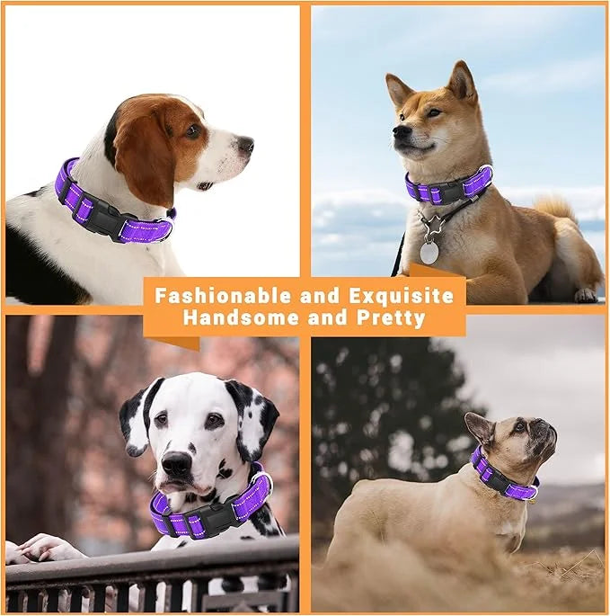 2 Pack Reflective Dog Collar with Safety Locking Buckle, Adjustable Soft Breathable Comfortable Nylon Pet Collar for Small...