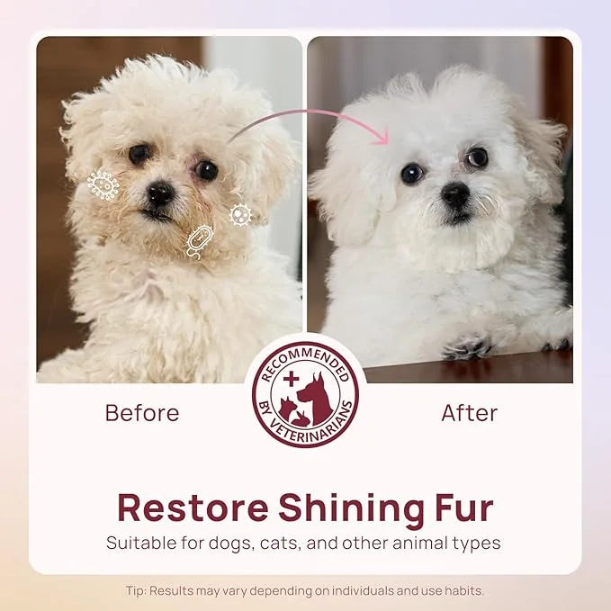 HICC PET Cleaning Deodorizing Wipes for Dogs & Cats, Vet Recommended Nourishes Smoothes Fur Pet Grooming Wipes with Fermen...