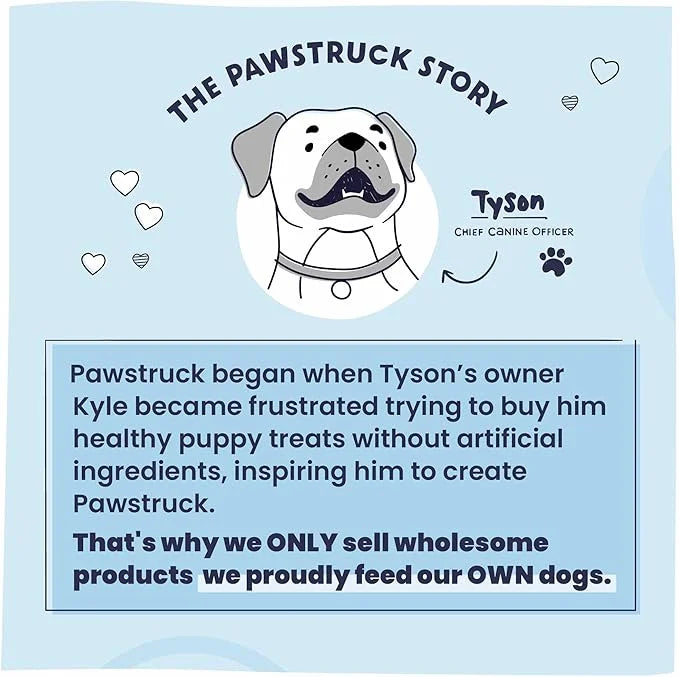Pawstruck All-Natural 12" Bully Sticks for Dogs - Best Long Lasting, Rawhide Free, Low Odor & Grain Free Dental Chew Treat...