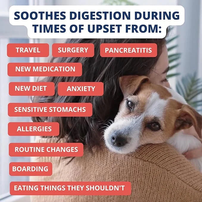 Under the Weather Bland Diet for Dogs | Easy to Digest Stomach Support for Sick Dogs | Contains Electrolytes, All Natural ...