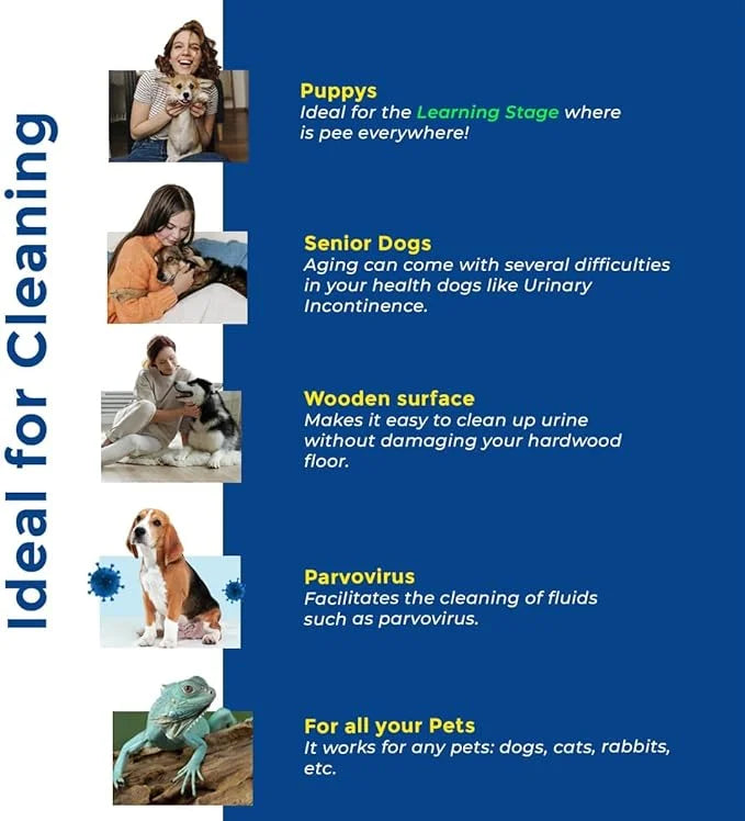 Whoops! Pet Accident Cleanup Powder - Non-Toxic, Citrus Fragrance, Absorbs & Deodorizes Urine, Vomit, Diarrhea - 2 Pack (2...
