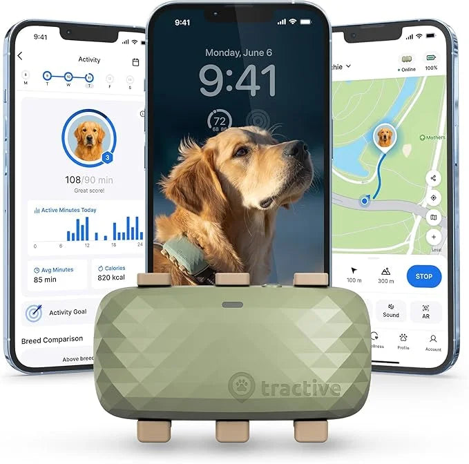 Tractive XL GPS Dog Tracker (50 lbs+) | Real-time Pet Location Tracker | Health & Wellness Alerts | Virtual Fence for Dogs...