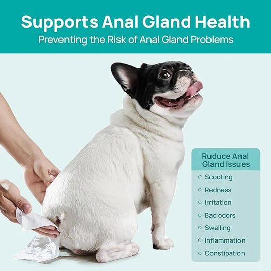 HICC PET Wipes for Dogs & Cats, Cleansing Deodorizing & Soothing Allergy Infections Anal Gland Pets Wipes with Coconut Oil...