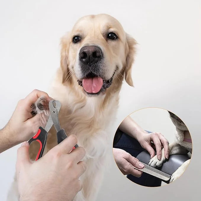 Pet Grooming Glove - Gentle Deshedding Brush Glove, Pet Bathing Wipes - Enhanced Five Finger Design - Daily Care and Trave...