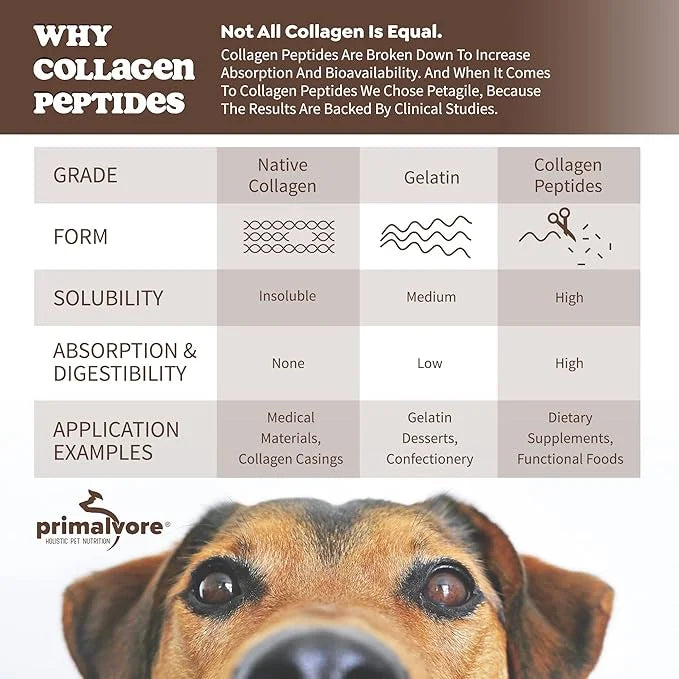 Primalvore Grass-Fed Beef Bone Broth for Dogs &Cats, Mobility Formula w/Collagen Peptides to Help Support Hip & Joints, Di...