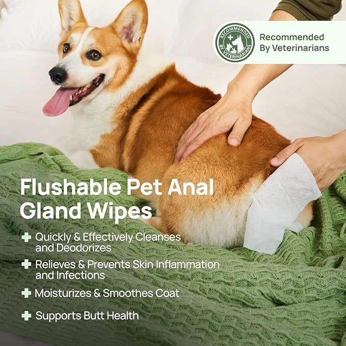 HICC PET Wipes for Dogs & Cats, Cleansing Deodorizing & Soothing Allergy Infections Anal Gland Pets Wipes with Coconut Oil...