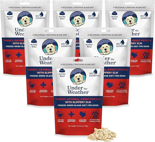 Under the Weather Bland Diet for Dogs | Easy to Digest Stomach Support for Sick Dogs | Contains Electrolytes, All Natural ...
