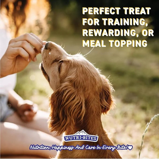 Nutri Bites Freeze Dried Salmon Dog & Cat Treats 4 oz | Healthy Pet Training Treats or Food Topper | All Natural, 1 Single...