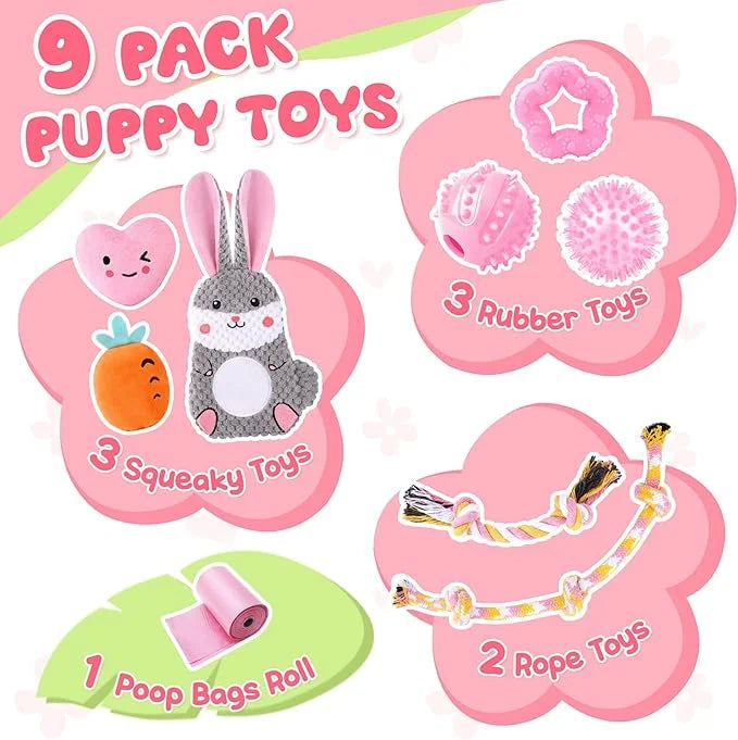 Zeaxuie Pink Puppy Toys for Teething, 9 Pack Small Dog Toys with Cute Puppy Chew Toys, Squeaky Crinkle Dog Toys, Treat Bal...