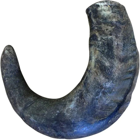 QT Dog - Buffalo Horn Large - 2 Pack - Product Image