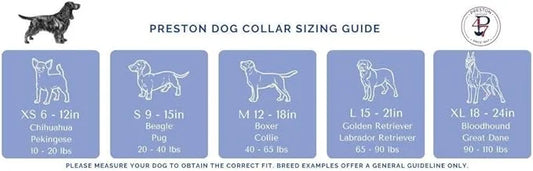 Heavy Duty Adjustable Dog Collar or Dog Leash - Ideal Dog Collars and Leashes Come in Multiple Sizes for All Pets. Preppy ...