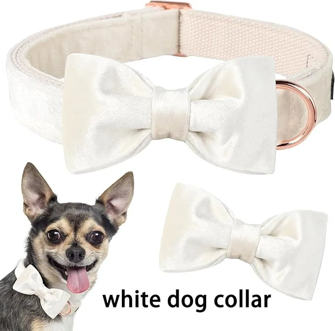 ARING PET Bowtie Dog Collar-Velvet Dog Collars with Detachable Bowtie, White Wedding Soft Dog Collar,X-Large. - Product Image
