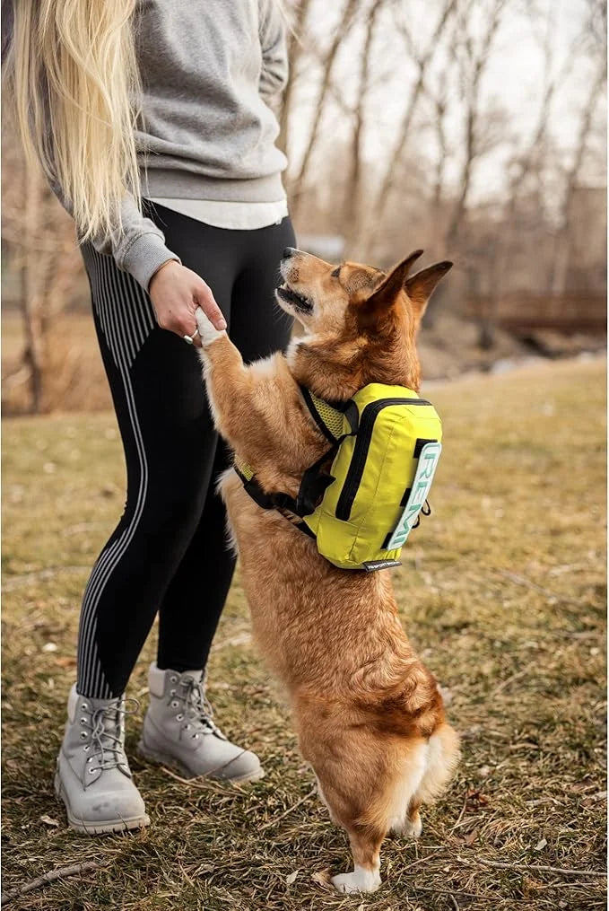 K9 Sport Sack Walk-On | Dog Carrier Dog Backpack with Harness & Storage (Extra Small, Buttercup Yellow) - Product Image