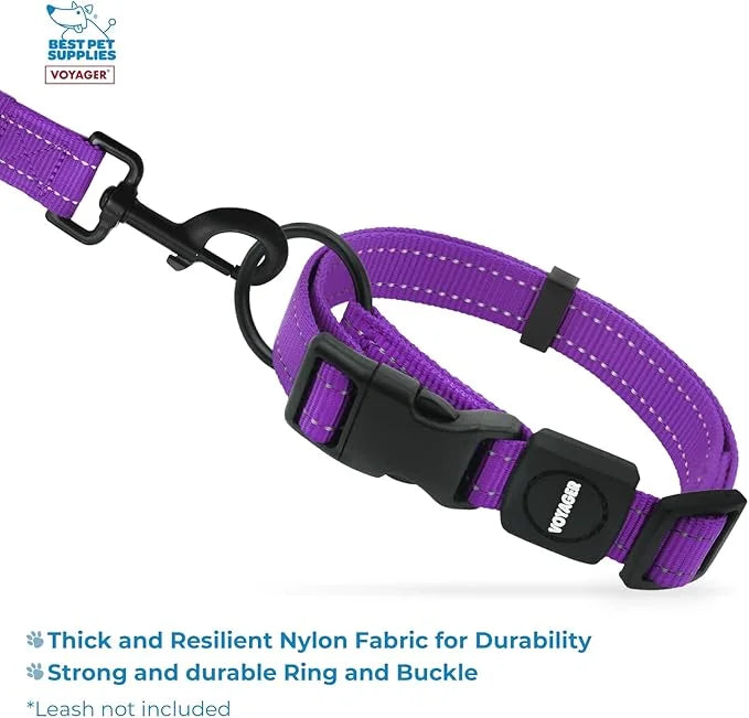 Best Pet Supplies Reflective Dog Collar with Adjustable Length, Heavy-Duty Buckle, and Strong Leash D-Ring, Training, Walk...